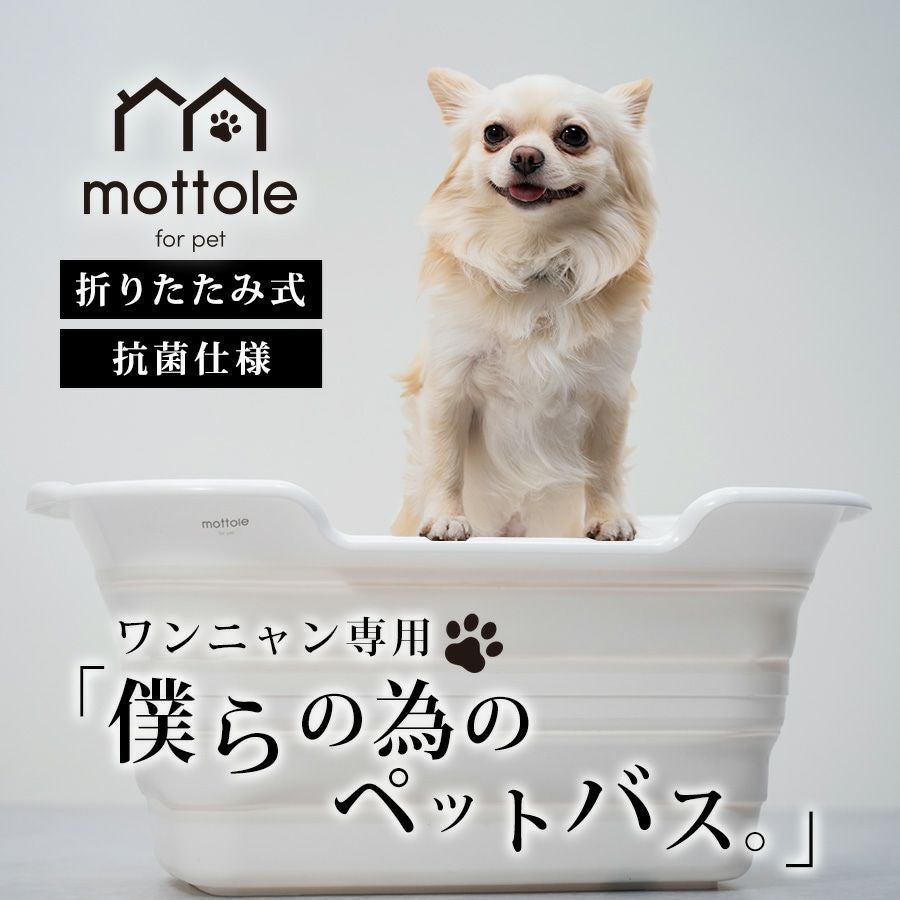 【わんとも】ペット用バスタブ 000000000442-01.jpg?size=l&w=